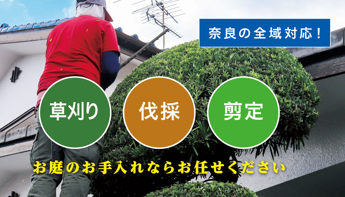 橿原市で草刈り・剪定・伐採なら「お庭の大将」