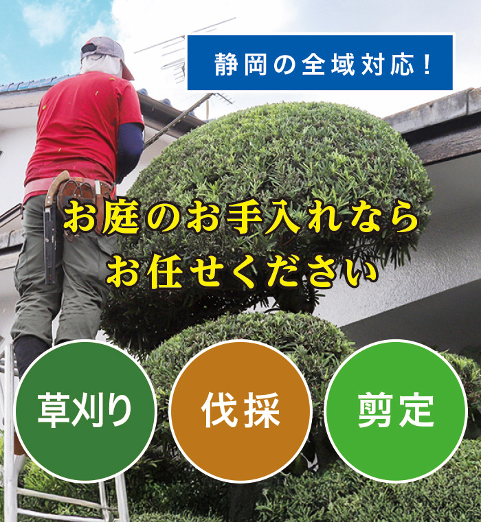 熱海市で草刈り・剪定・伐採なら「お庭の大将」 熱海市で草刈り・剪定・伐採なら「お庭の大将」